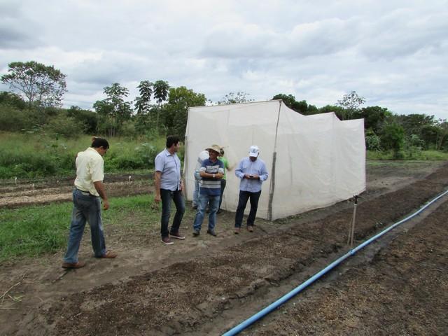 Equipe da EMBRAPA Brasília Realizou Visita Técnica em Ipiranga - Imagem 67