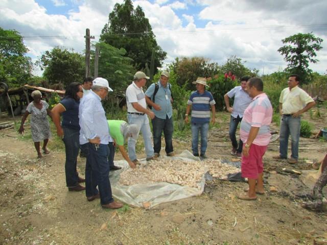 Equipe da EMBRAPA Brasília Realizou Visita Técnica em Ipiranga - Imagem 17
