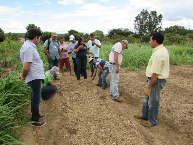 Equipe da EMBRAPA Brasília Realizou Visita Técnica em Ipiranga - Imagem 32
