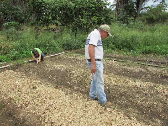 Equipe da EMBRAPA Brasília Realizou Visita Técnica em Ipiranga - Imagem 64