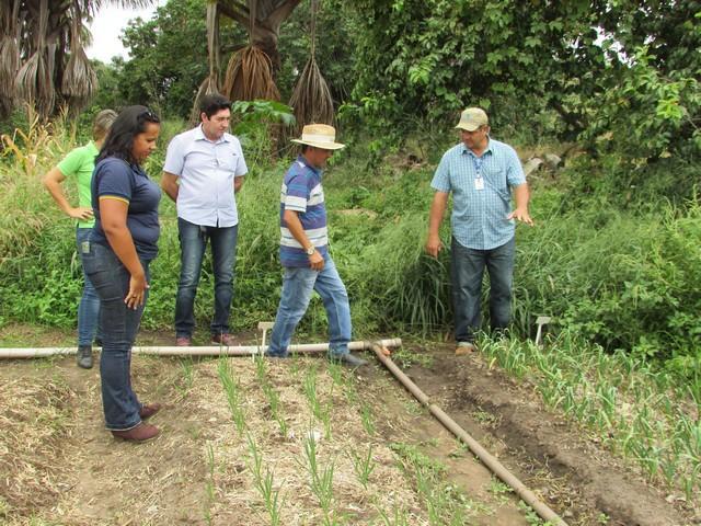 Equipe da EMBRAPA Brasília Realizou Visita Técnica em Ipiranga - Imagem 55