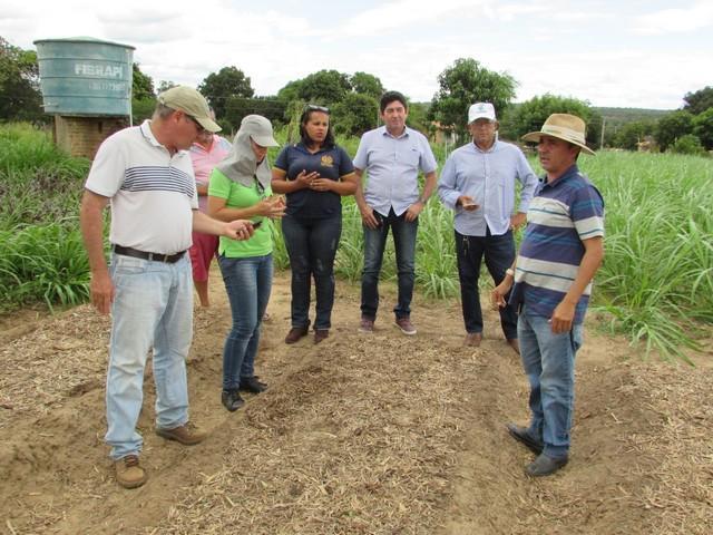 Equipe da EMBRAPA Brasília Realizou Visita Técnica em Ipiranga - Imagem 37