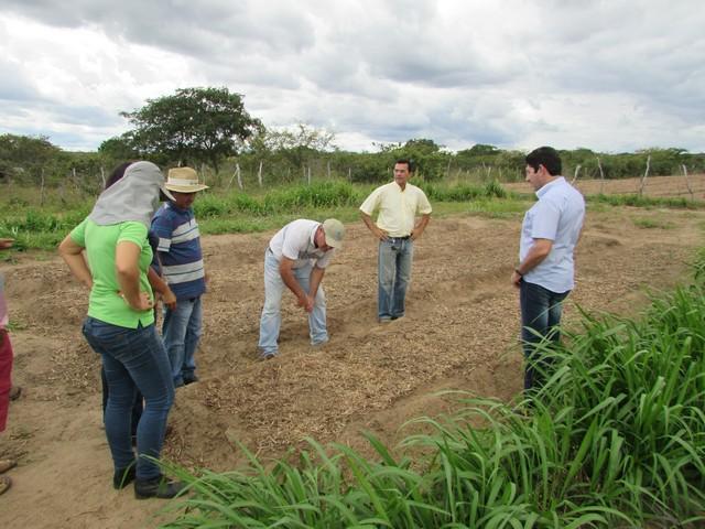Equipe da EMBRAPA Brasília Realizou Visita Técnica em Ipiranga - Imagem 28