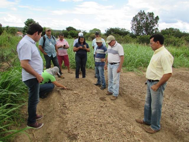 Equipe da EMBRAPA Brasília Realizou Visita Técnica em Ipiranga - Imagem 31