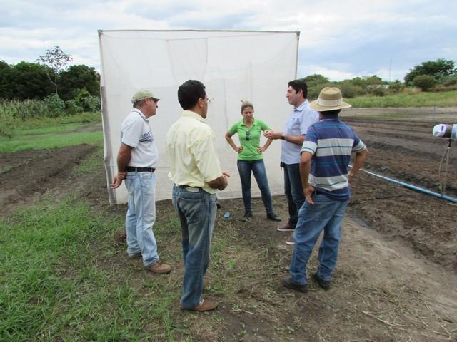 Equipe da EMBRAPA Brasília Realizou Visita Técnica em Ipiranga - Imagem 68