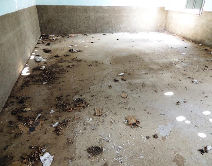 Marechal Pires Ferreira: município salva da depredação - Imagem 17