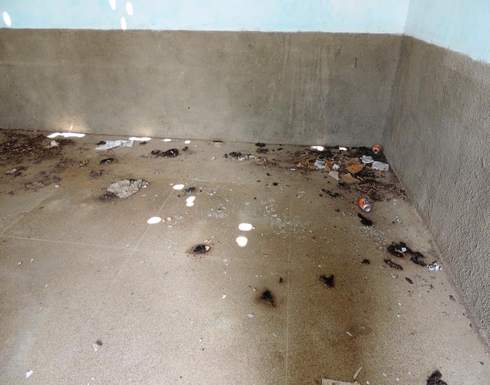 Marechal Pires Ferreira: município salva da depredação - Imagem 20