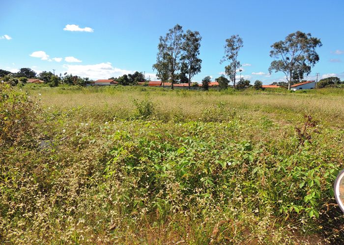 Prefeito Alvimar acompanha equipe da FUNDESPI em visita ao estádio - Imagem 18