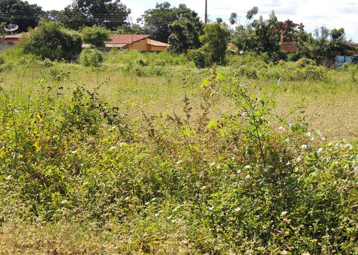 Prefeito Alvimar acompanha equipe da FUNDESPI em visita ao estádio - Imagem 22