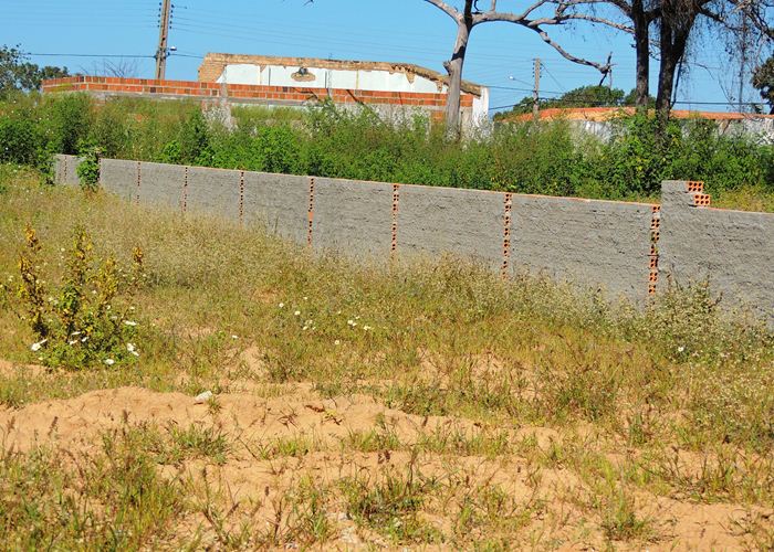 Prefeito Alvimar acompanha equipe da FUNDESPI em visita ao estádio - Imagem 16