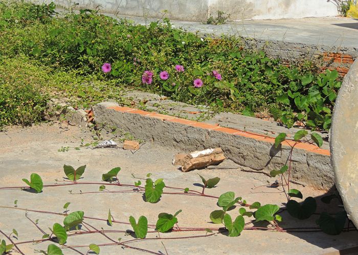 Prefeito Alvimar acompanha equipe da FUNDESPI em visita ao estádio - Imagem 15