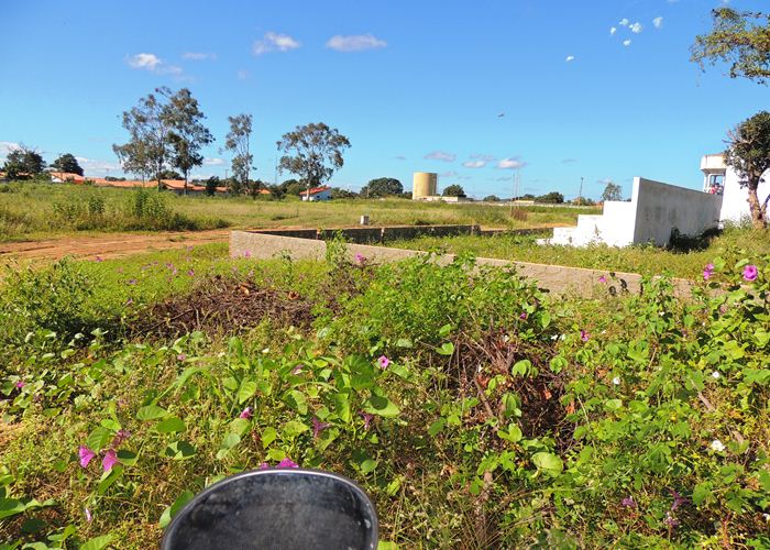 Prefeito Alvimar acompanha equipe da FUNDESPI em visita ao estádio - Imagem 11