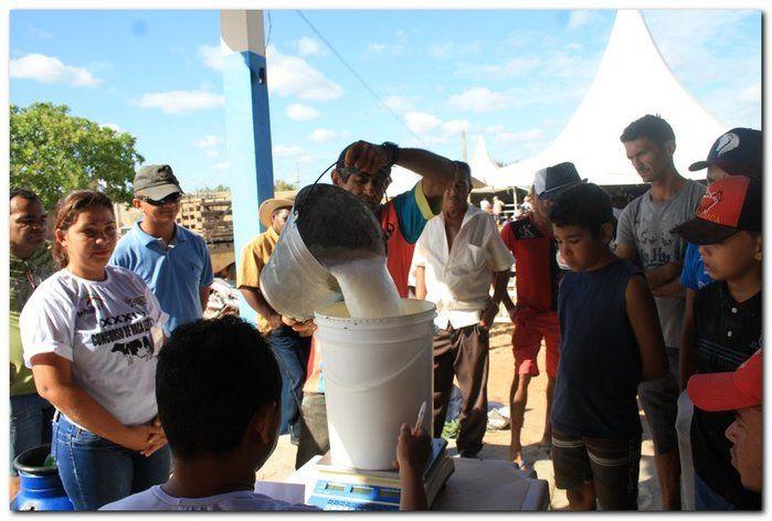 34° Concurso de Gado Leiteiro - Imagem 32
