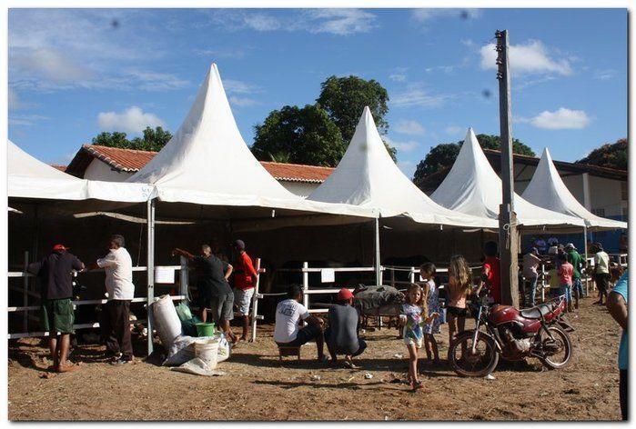 34° Concurso de Gado Leiteiro - Imagem 21