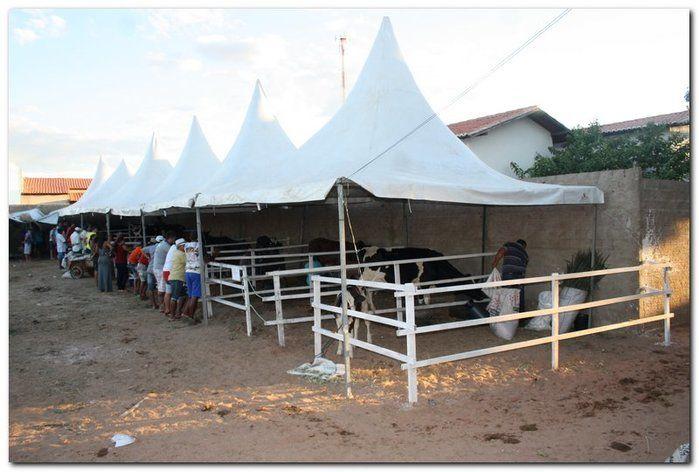 34° Concurso de Gado Leiteiro - Imagem 1