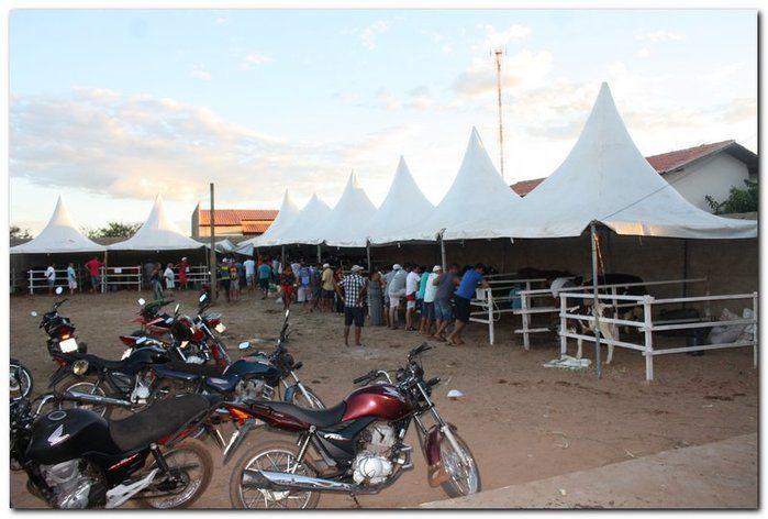 34° Concurso de Gado Leiteiro - Imagem 10