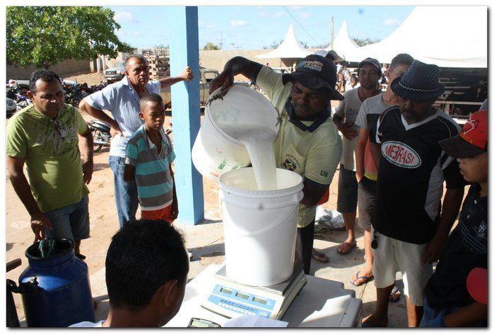 34° Concurso de Gado Leiteiro - Imagem 29