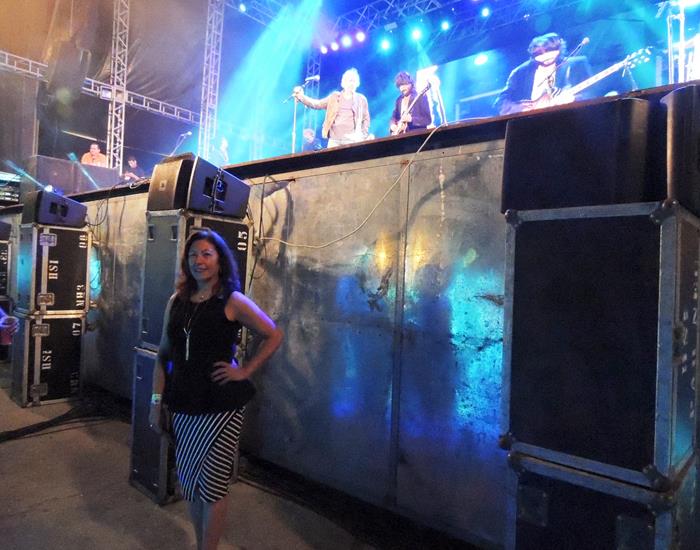 Público faz artistas se empolgarem pelo carisma nos shows - Imagem 48