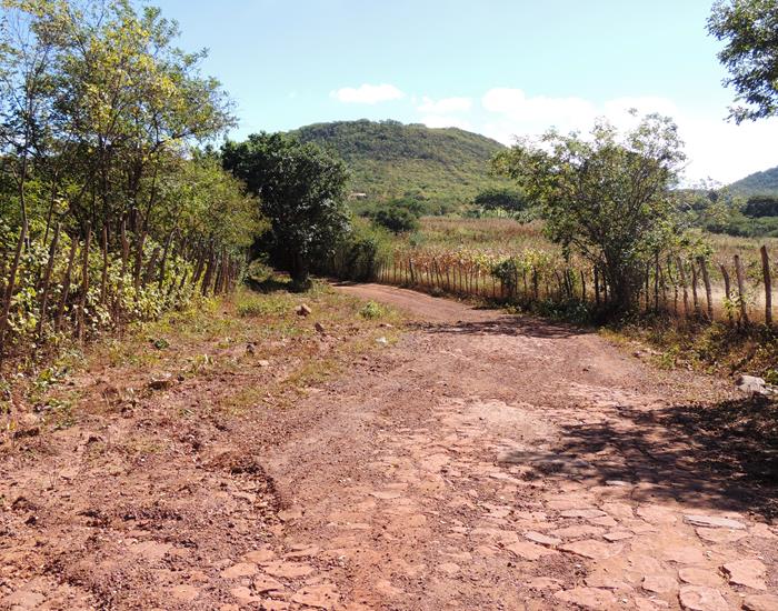 Município intensifica ações nas comunidades rurais - Imagem 5