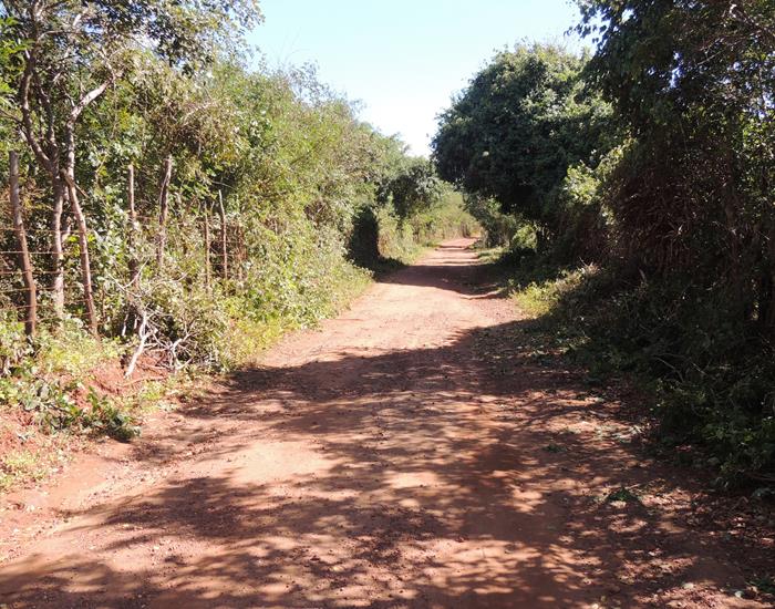 Município intensifica ações nas comunidades rurais - Imagem 6