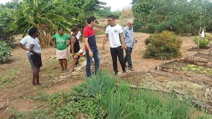 Assistência técnica qualificada melhorar a vida do produtor rural - Imagem 4