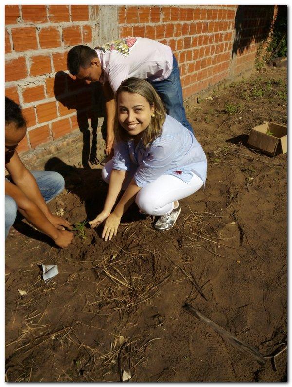 Horta terapêutica do CAPS passa por reformulação  - Imagem 3