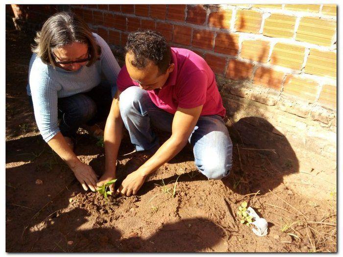 Horta terapêutica do CAPS passa por reformulação  - Imagem 1