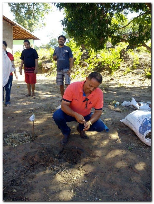 Horta terapêutica do CAPS passa por reformulação  - Imagem 5