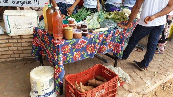 Alunos do Projovem Campo promovem Feira Solidária  - Imagem 2