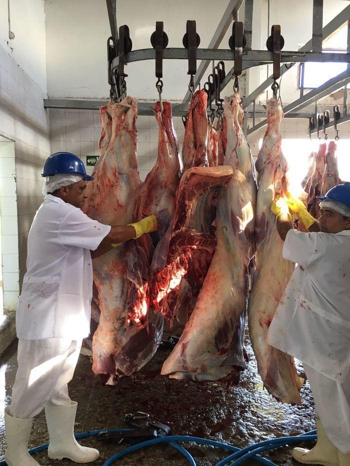 Treinamento com a  equipe do matadouro municipal 