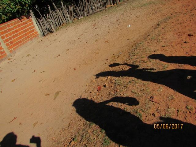 Escola Liberato Vieira Realizou Caminhada Ecológica - Imagem 126