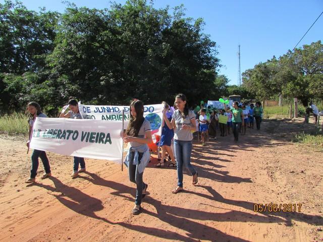 Escola Liberato Vieira Realizou Caminhada Ecológica - Imagem 70