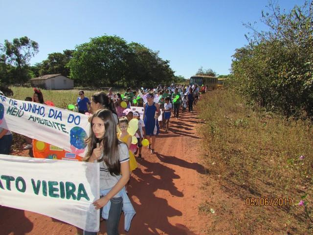 Escola Liberato Vieira Realizou Caminhada Ecológica - Imagem 95