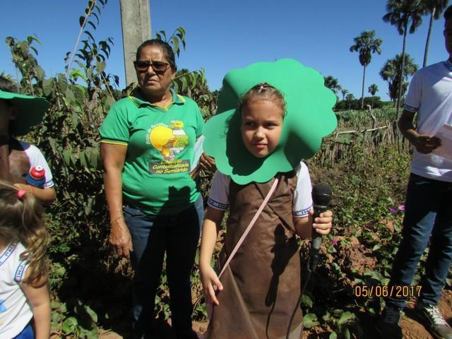 Escola Liberato Vieira Realizou Caminhada Ecológica - Imagem 206