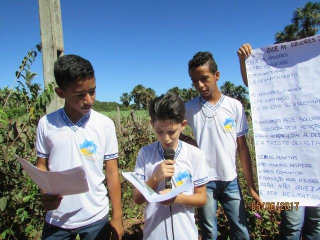 Escola Liberato Vieira Realizou Caminhada Ecológica - Imagem 217