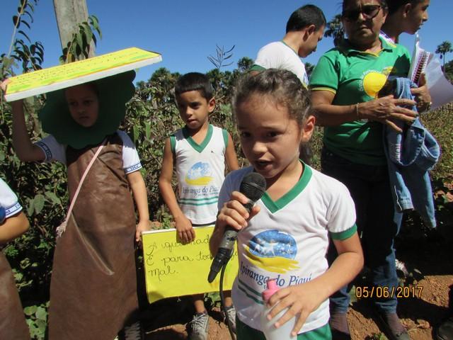 Escola Liberato Vieira Realizou Caminhada Ecológica - Imagem 212
