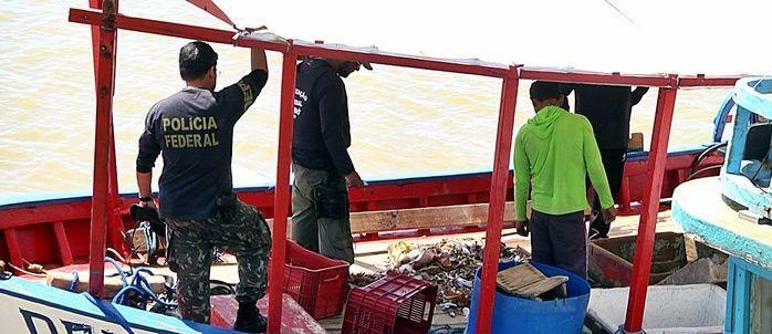 Barcos de pesca são apreendidos durante operação no litoral do PI - Imagem 1