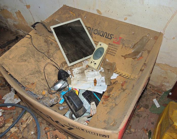 Prédio da SEMAS passará por reforma geral  - Imagem 6