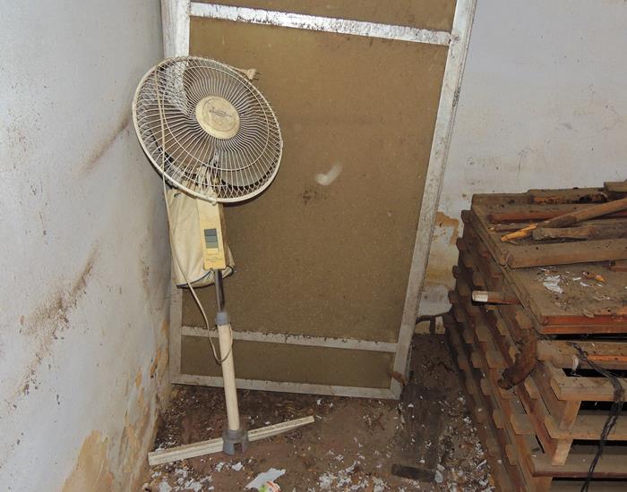 Prédio da SEMAS passará por reforma geral  - Imagem 4