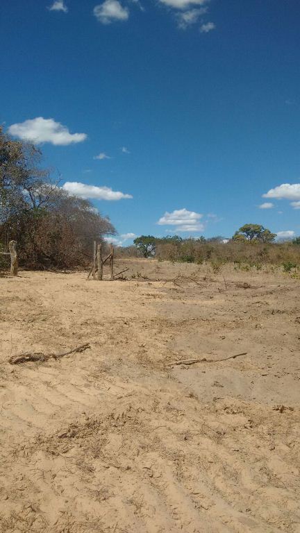 Prefeito causa confusão à organização do Festejo da cidade  - Imagem 2