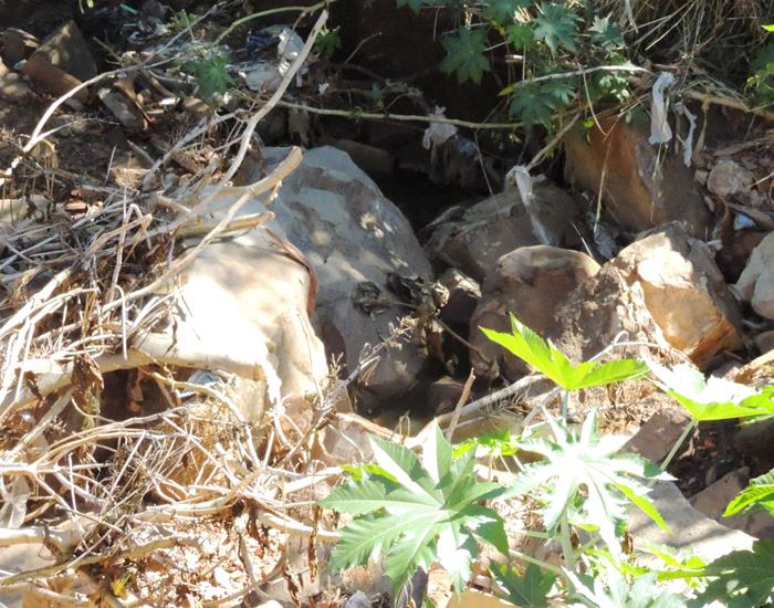Município faz levantamento para retirar água poluída do meio da rua - Imagem 12