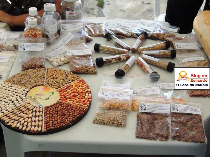 Pedro II sedia III Festival das Sementes da Fartura do Piauí  - Imagem 27