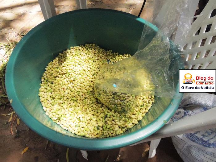 Pedro II sedia III Festival das Sementes da Fartura do Piauí  - Imagem 75