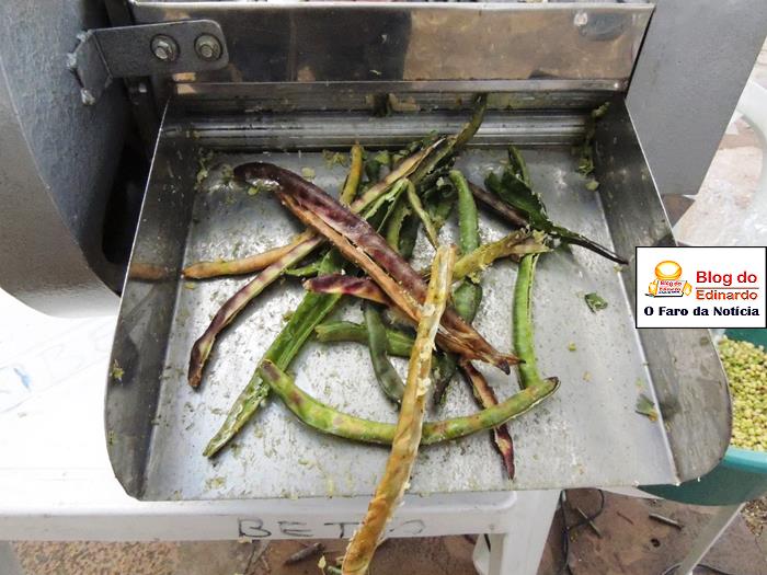 Pedro II sedia III Festival das Sementes da Fartura do Piauí  - Imagem 72