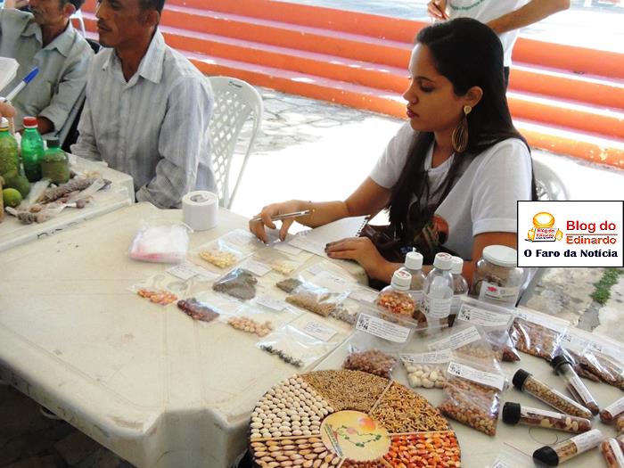 Pedro II sedia III Festival das Sementes da Fartura do Piauí  - Imagem 28