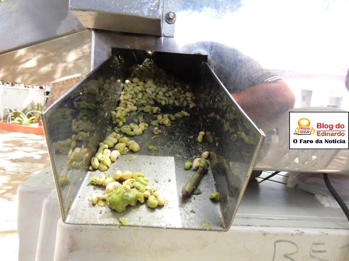 Pedro II sedia III Festival das Sementes da Fartura do Piauí  - Imagem 74