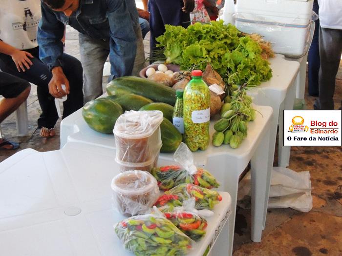 Pedro II sedia III Festival das Sementes da Fartura do Piauí  - Imagem 32