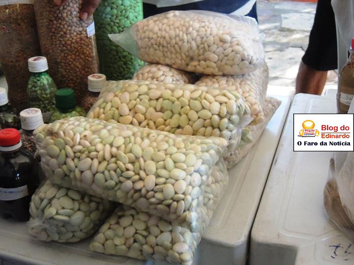 Pedro II sedia III Festival das Sementes da Fartura do Piauí  - Imagem 25