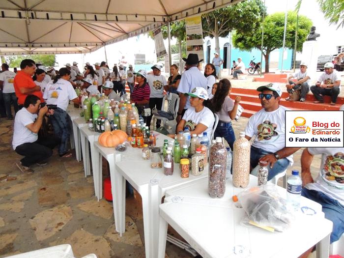 Pedro II sedia III Festival das Sementes da Fartura do Piauí  - Imagem 85