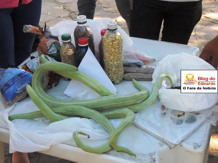 Pedro II sedia III Festival das Sementes da Fartura do Piauí  - Imagem 39